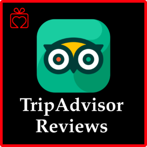 1000 reviews Tripadvisor